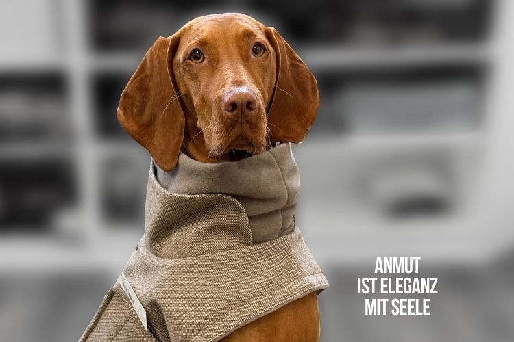 Hundemantel Tweed